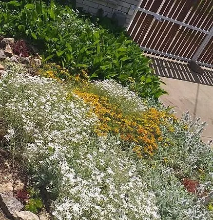 Benyelak - Zoeldorom Kutya - Es Bababarat Vendeghaz Σπίτι διακοπών