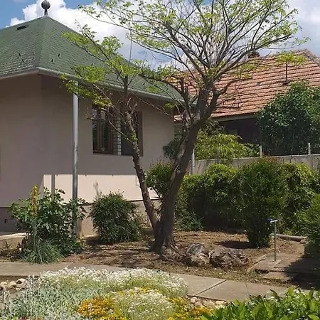 Benyelak - Zoeldorom Kutya - Es Bababarat Vendeghaz Legyesbenye