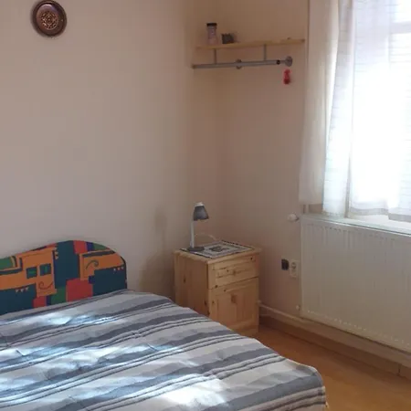 Benyelak - Zoeldorom Kutya - Es Bababarat Vendeghaz * Legyesbenye