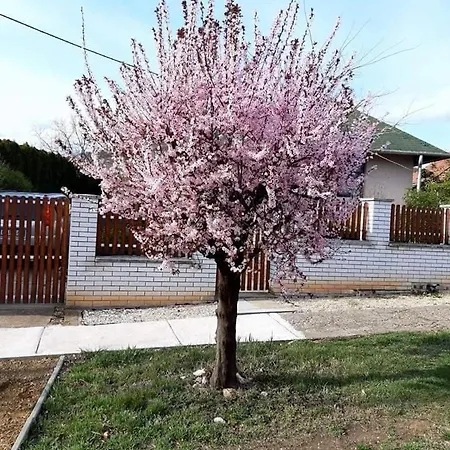 Σπίτι διακοπών Benyelak - Zoeldorom Kutya - Es Bababarat Vendeghaz *