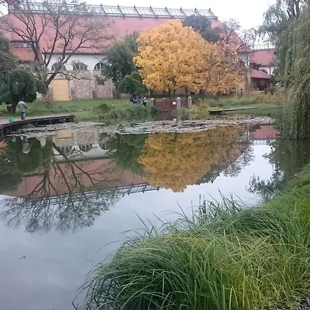 Benyelak - Zoeldorom Kutya - Es Bababarat Vendeghaz