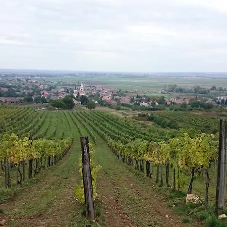 Benyelak - Zoeldorom Kutya - Es Bababarat Vendeghaz