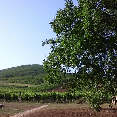 Benyelak - Zoeldorom Kutya - Es Bababarat Vendeghaz Σπίτι διακοπών