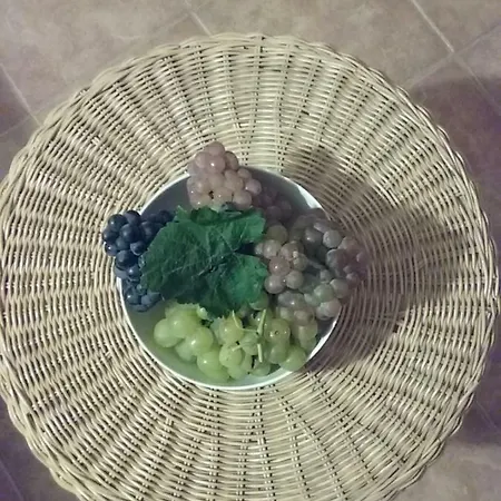 Benyelak - Zoeldorom Kutya - Es Bababarat Vendeghaz * Legyesbenye