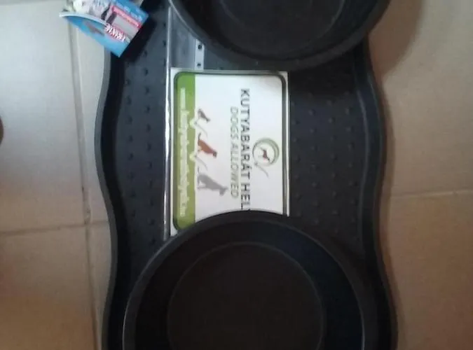 Benyelak - Zoeldorom Kutya - Es Bababarat Vendeghaz Tatil Evi *