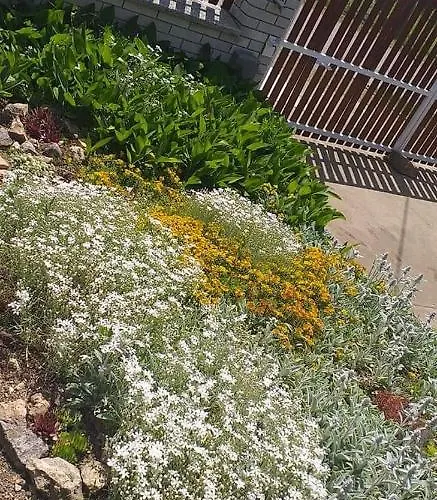 Benyelak - Zoeldorom Kutya - Es Bababarat Vendeghaz Tatil Evi