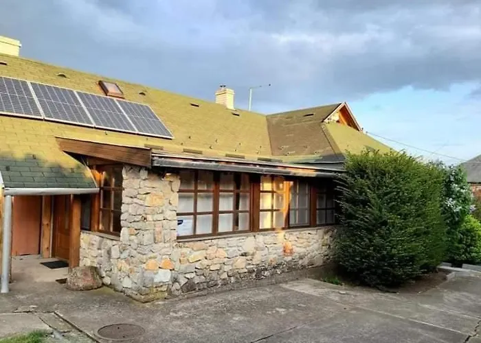 Benyelak - Zoeldorom Kutya - Es Bababarat Vendeghaz