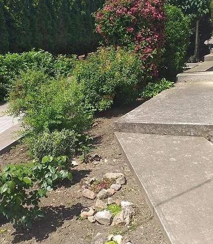 Benyelak - Zoeldorom Kutya - Es Bababarat Vendeghaz Tatil Evi Legyesbenye