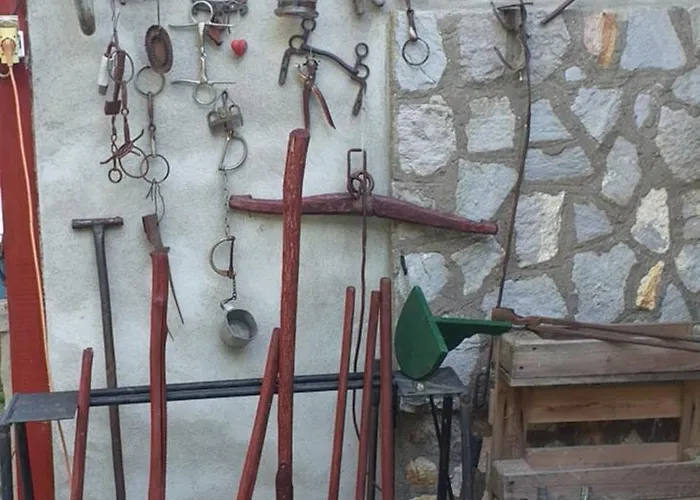 Benyelak - Zoeldorom Kutya - Es Bababarat Vendeghaz Tatil Evi *