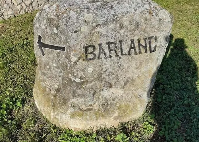 Benyelak - Zoeldorom Kutya - Es Bababarat Vendeghaz Tatil Evi