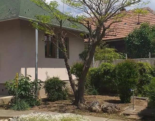 Benyelak - Zoeldorom Kutya - Es Bababarat Vendeghaz Legyesbenye