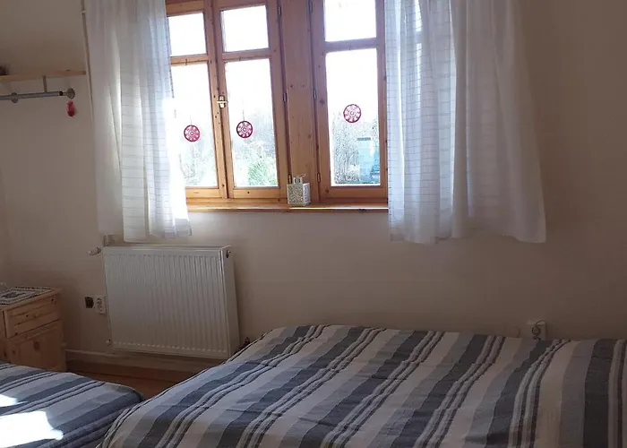 Benyelak - Zoeldorom Kutya - Es Bababarat Vendeghaz Tatil Evi Legyesbenye