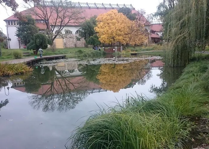 Benyelak - Zoeldorom Kutya - Es Bababarat Vendeghaz