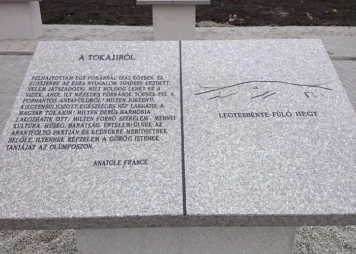 Tatil Evi Benyelak - Zoeldorom Kutya - Es Bababarat Vendeghaz Legyesbenye