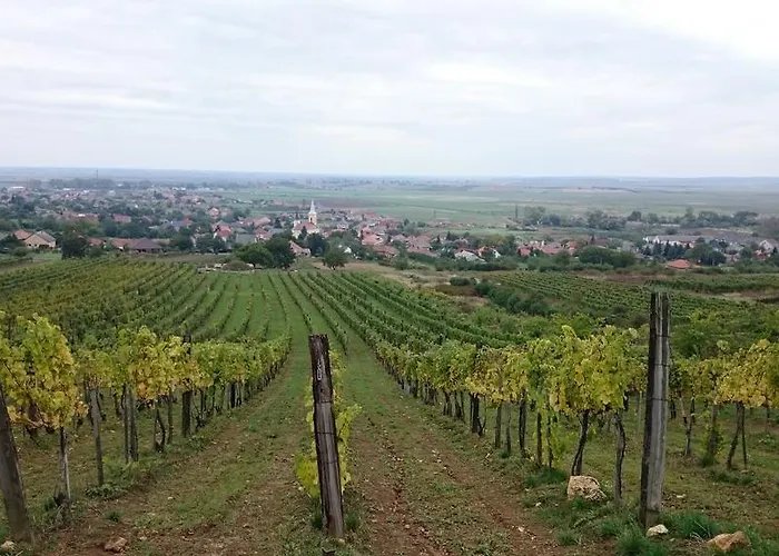 Benyelak - Zoeldorom Kutya - Es Bababarat Vendeghaz