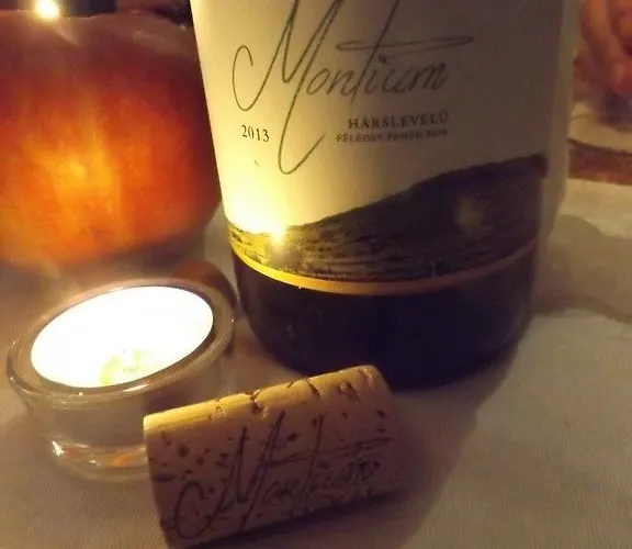 Benyelak - Zoeldorom Kutya - Es Bababarat Vendeghaz Legyesbenye