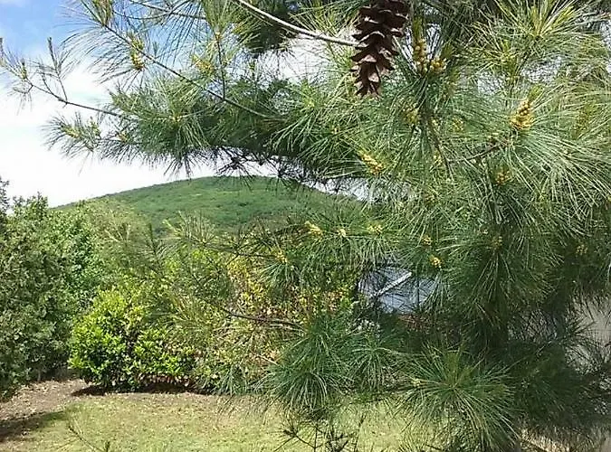 Benyelak - Zoeldorom Kutya - Es Bababarat Vendeghaz Legyesbenye