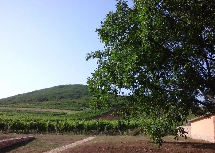 Benyelak - Zoeldorom Kutya - Es Bababarat Vendeghaz Tatil Evi