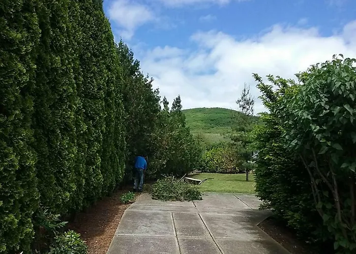 Tatil Evi Benyelak - Zoeldorom Kutya - Es Bababarat Vendeghaz *