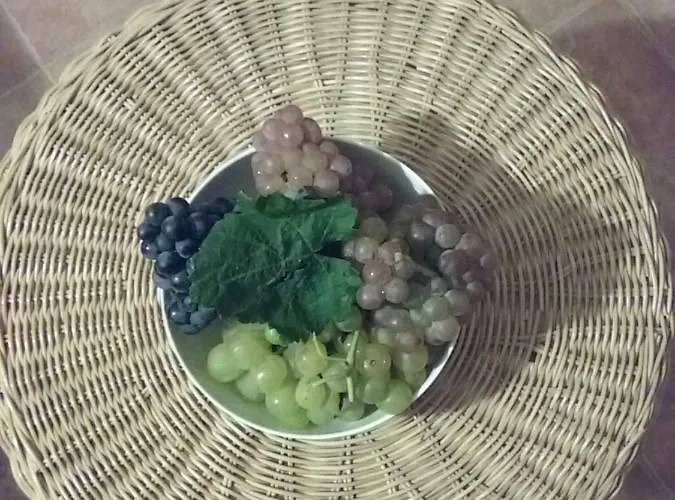 Benyelak - Zoeldorom Kutya - Es Bababarat Vendeghaz * Legyesbenye